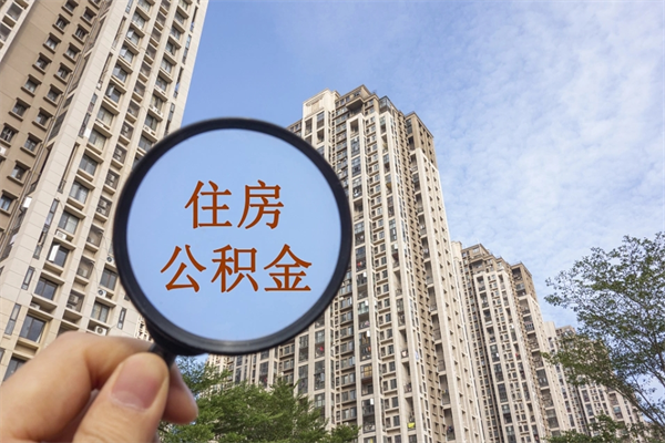 漳州上海公积金提取咨询（漳州全国公积金提取线上提取）